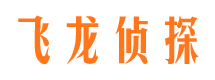 驻马店市场调查